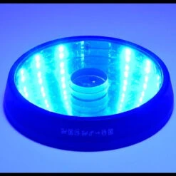 MegaHouse Precious G.E.M. Series Digimon Adventure Angewomon Holy Arrow Ver. (with Pedestal) -Megahouse 1000127877 8 88602.1533807243